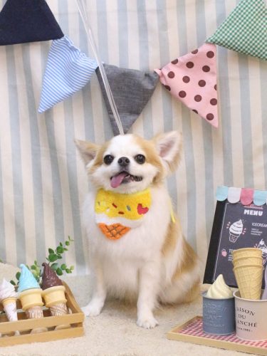 20250524くうくん